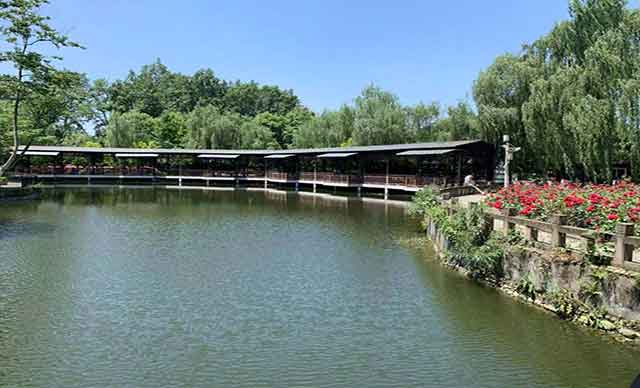 成都市·温江区·天香玫瑰緣团建基地